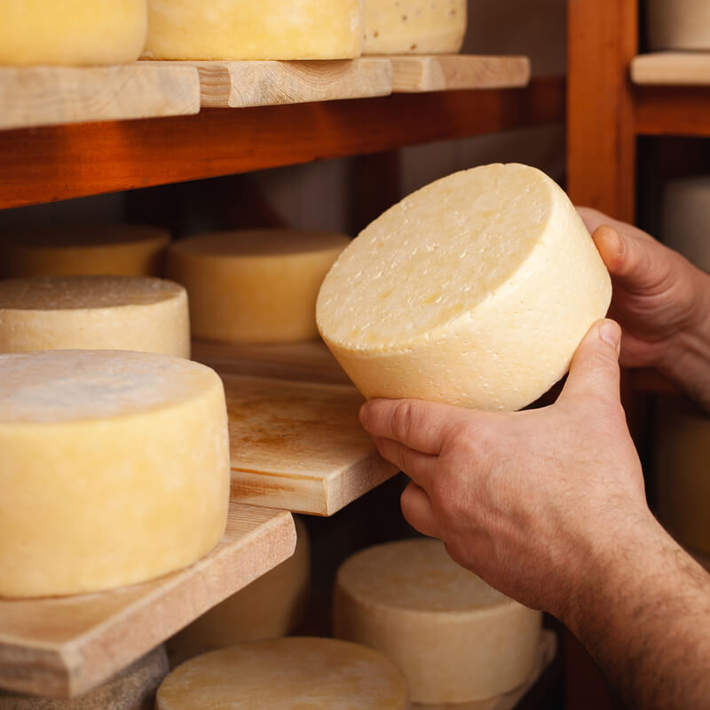 Stand van zaken cao Particulier Kaaspakhuisbedrijf