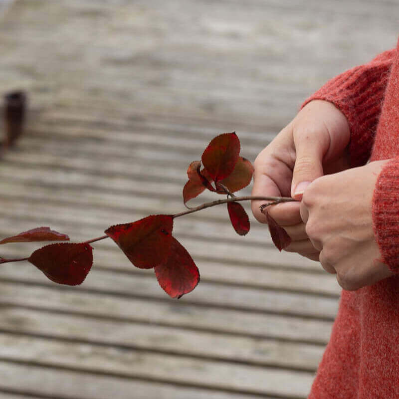 Coaching en gecoacht worden