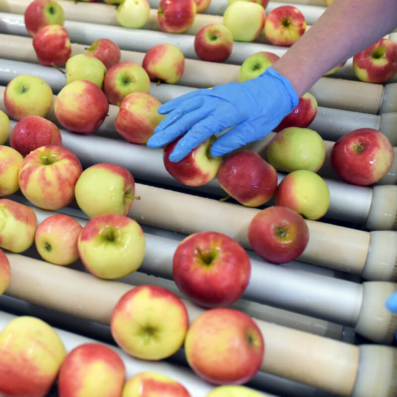 Onderhandelinsresultaat cao Groenten- en Fruitverwerkende Industrie