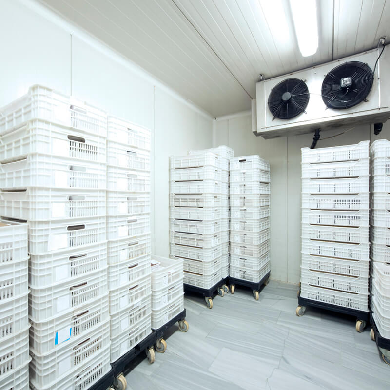 Onderhandelingsresultaat cao Vleessector